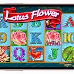 lotus flower slot game
